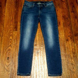 Lucky Brand Lolita Skinny Size 2/26 Stretch Blue Jeans Low Rise
